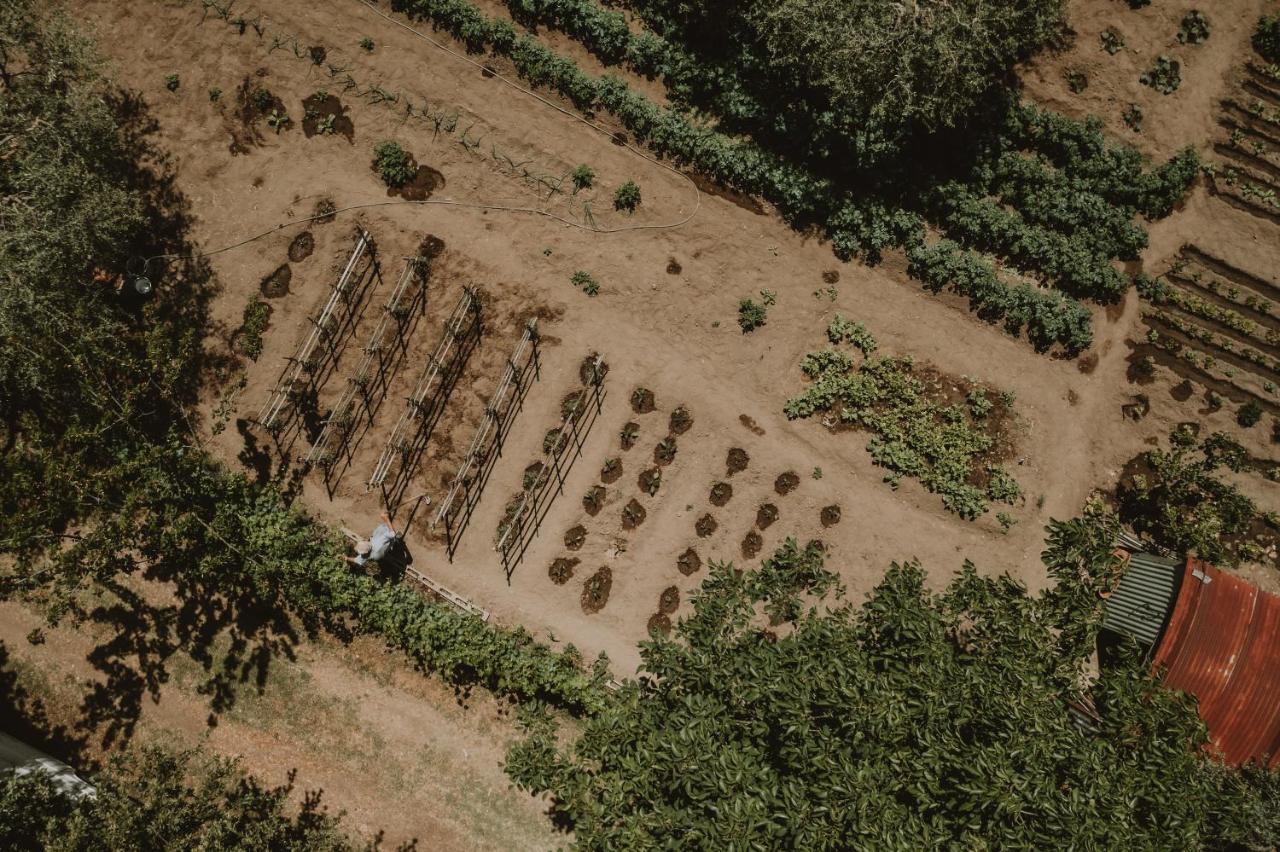 Agriturismo Cerqueto Acquapendente Εξωτερικό φωτογραφία